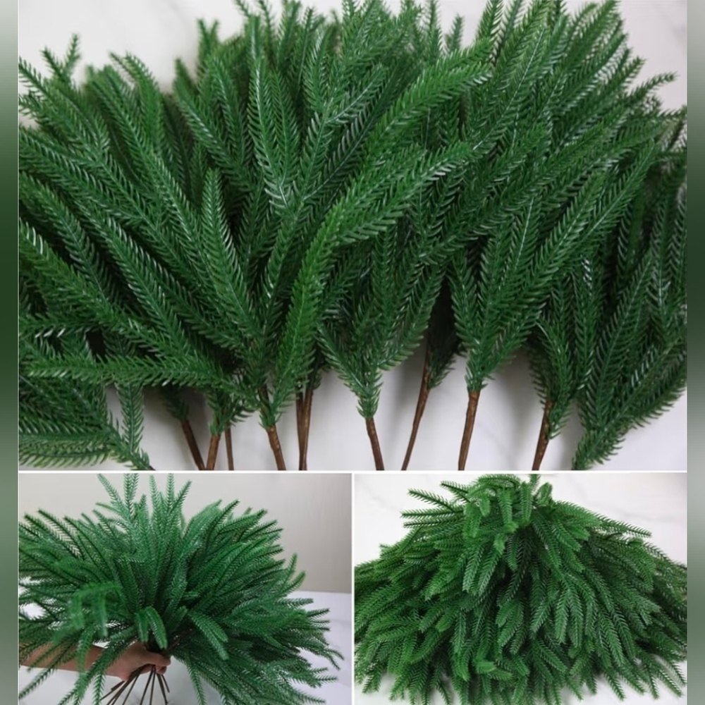 PINE STEMS BRANCHES DECOR